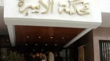 دعاوى النفقات الترفيهية تتصاعد في محاكم الأسرة بسبب زيادة مطالب الألعاب والرحلات 1